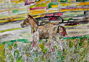 10303-Horse