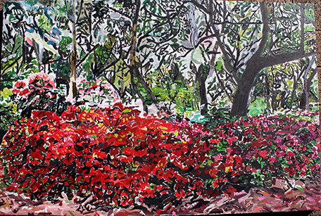 Blackheath-Rhododendron-Garden
